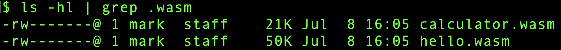 Wasm Files with Size in Kilobytes